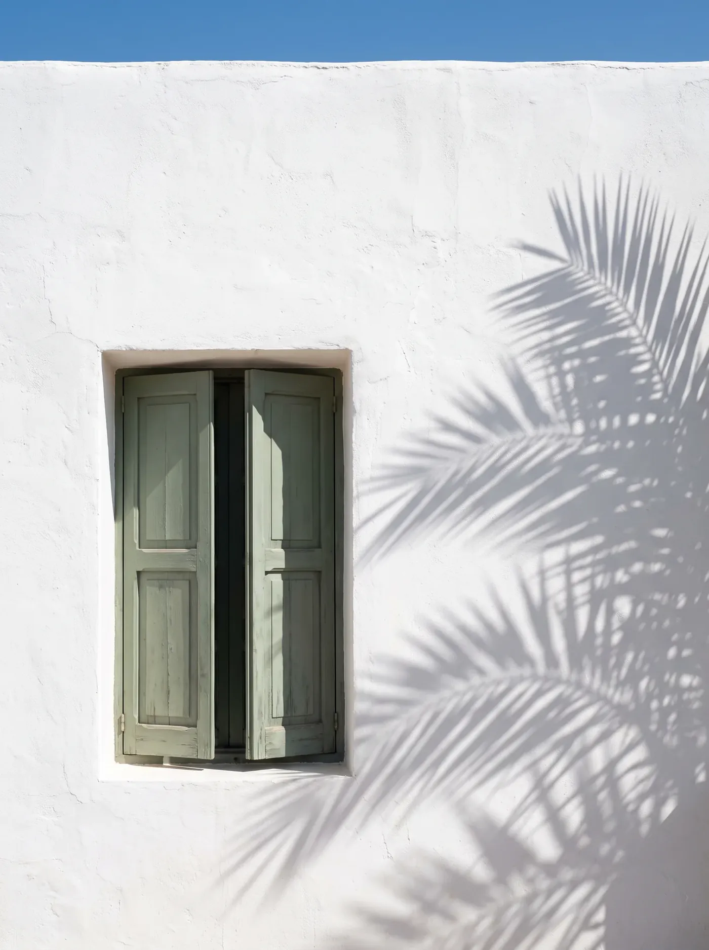 Fachada encalada con contraventana verde salvia y la sombra de una palmera